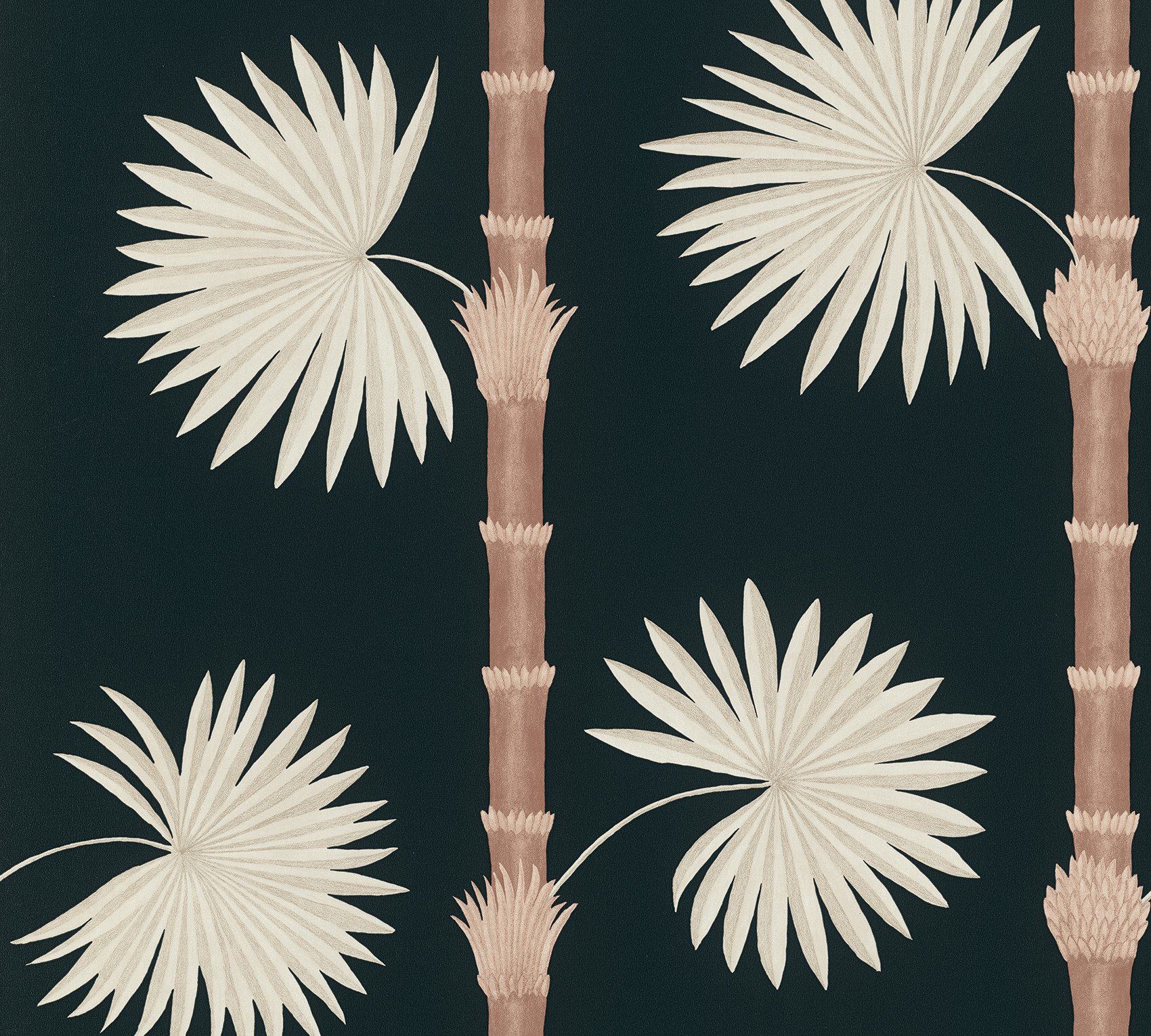 Обои Paint & Paper Library Botany Hardy Palm Acqua Viva 0360HAAQUAV